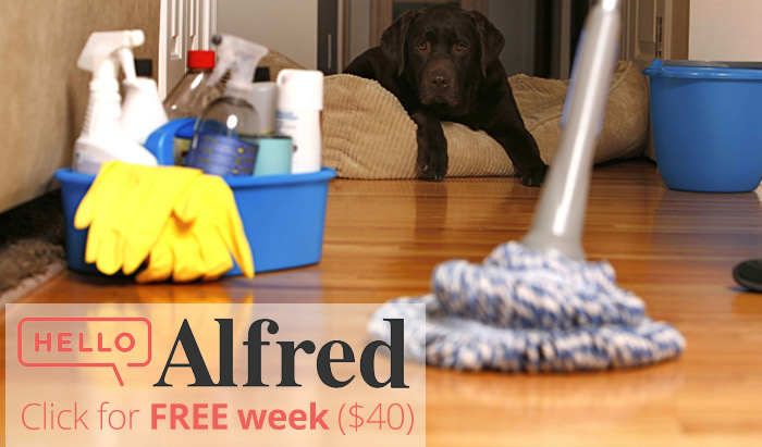 Hello Alfred Coupon Code : Get a WEEK free ($40 value)