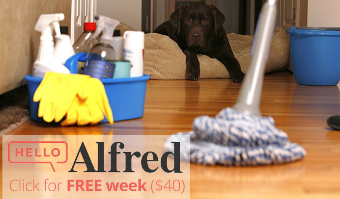 hello alfred info hello alfred info