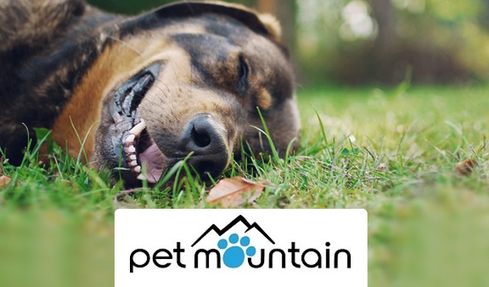 Pet Mountain Coupon Code and Review: Get FREE shipping