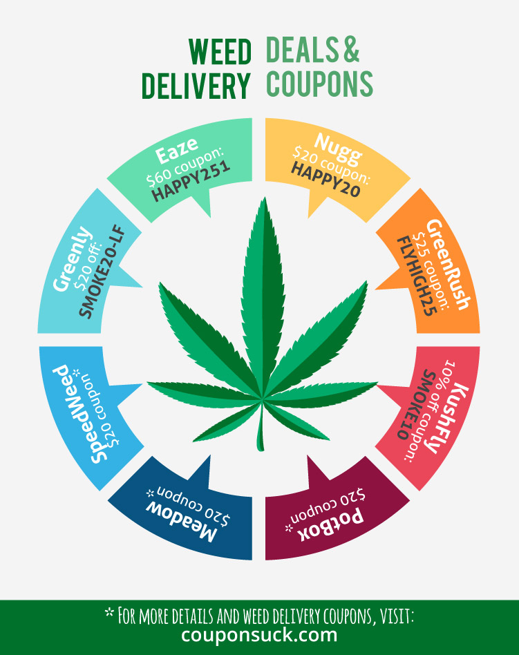 mmj delivery service business plan
