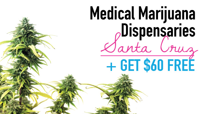 Medical Marijuana Santa Cruz: Get $60 to Santa Cruz Dispensaries with our Eaze discount link (plus get a doctor's rec in CA!)