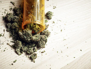 Medical Marijuana Santa Cruz Dispensaries