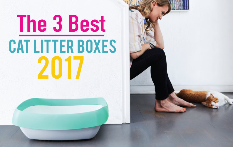 The 3 Best Cat Litter Boxes of 2017