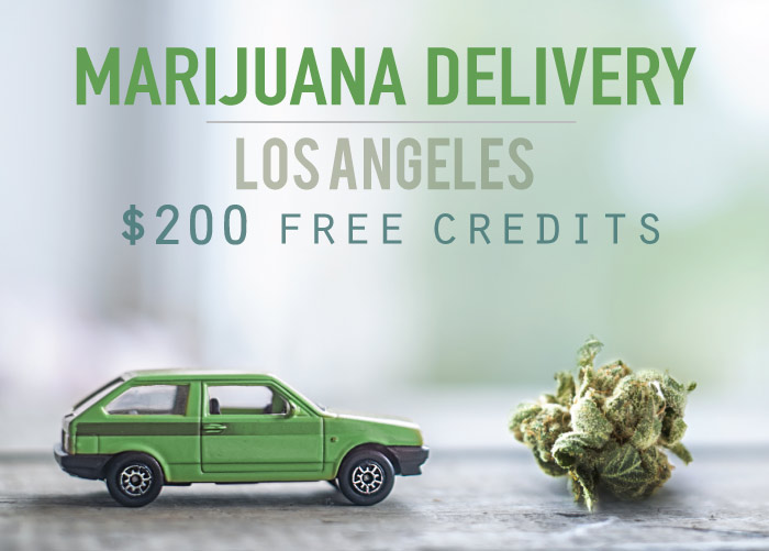 Marijuana Delivery Los Angeles: Get $200 free credits with our promo codes
