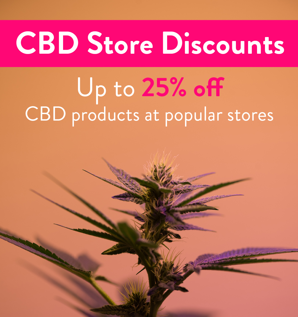 CBD Store Coupons: Get up to 25% CBD Discounts on products at popular CBD Stores!