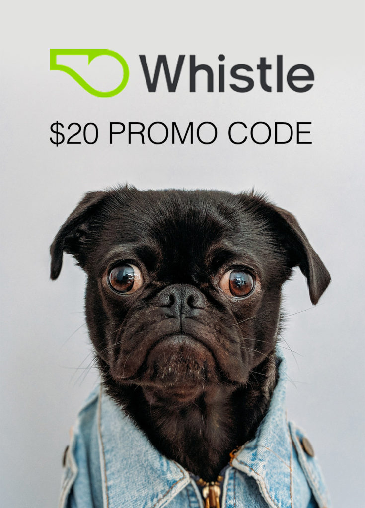 Whistle Promo Code: $20 Discount Dog Tracker
