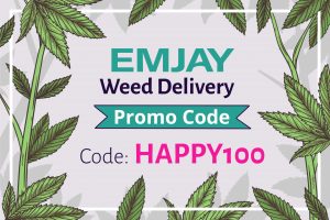 Emjay Promo Code for $10 free: HAPPY100